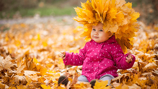 Autumn Leaves